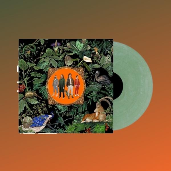 Don Broco // Amazing Things (IEX) (Green Marble Vinyl)
