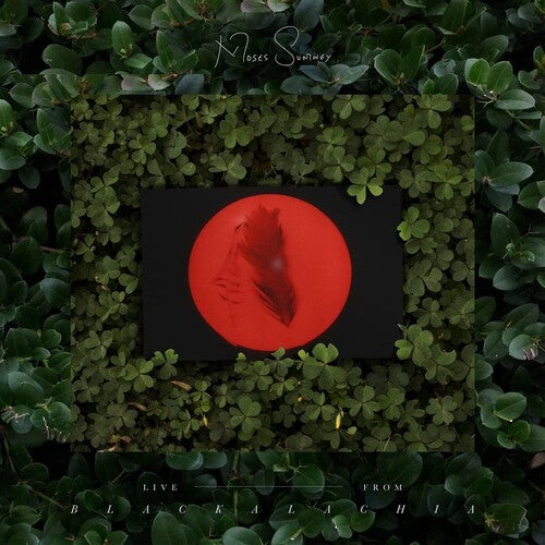 Moses Sumney // Live From BlackLachia