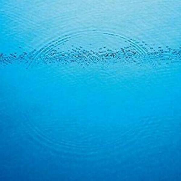 Caribou // Suddenly-Merge Records-vinylmnky