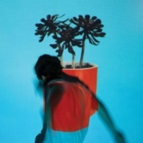 Local Natives // Sunlit Youth-Loma Vista-vinylmnky