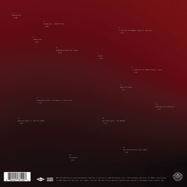 Post Malone // Twelve Carat Toothache (back cover)