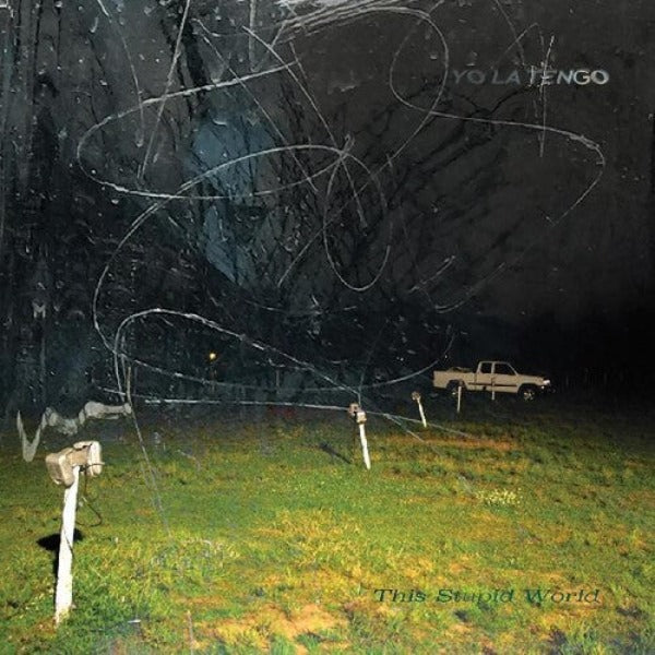 Yo La Tengo // This Stupid World