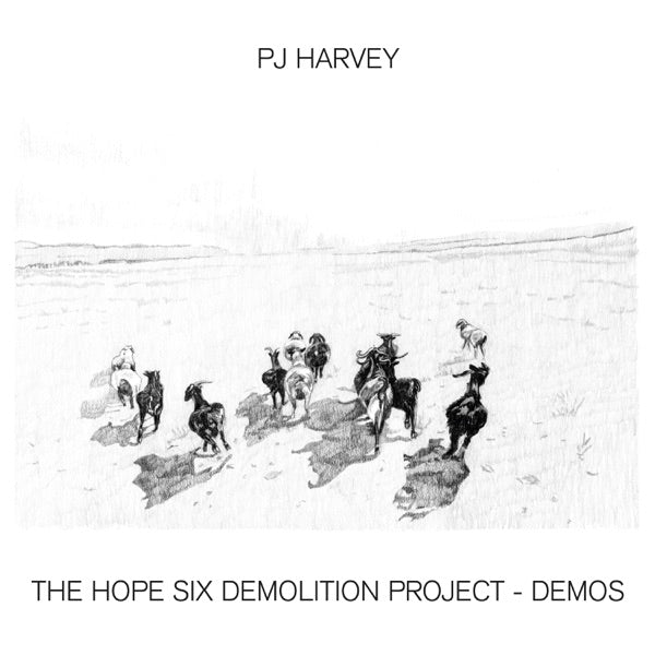PJ Harvey // The Hope Six Demolition Project