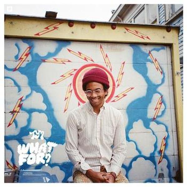 Toro Y Moi // What For?